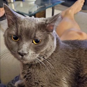 Meet your Posher, Garrett